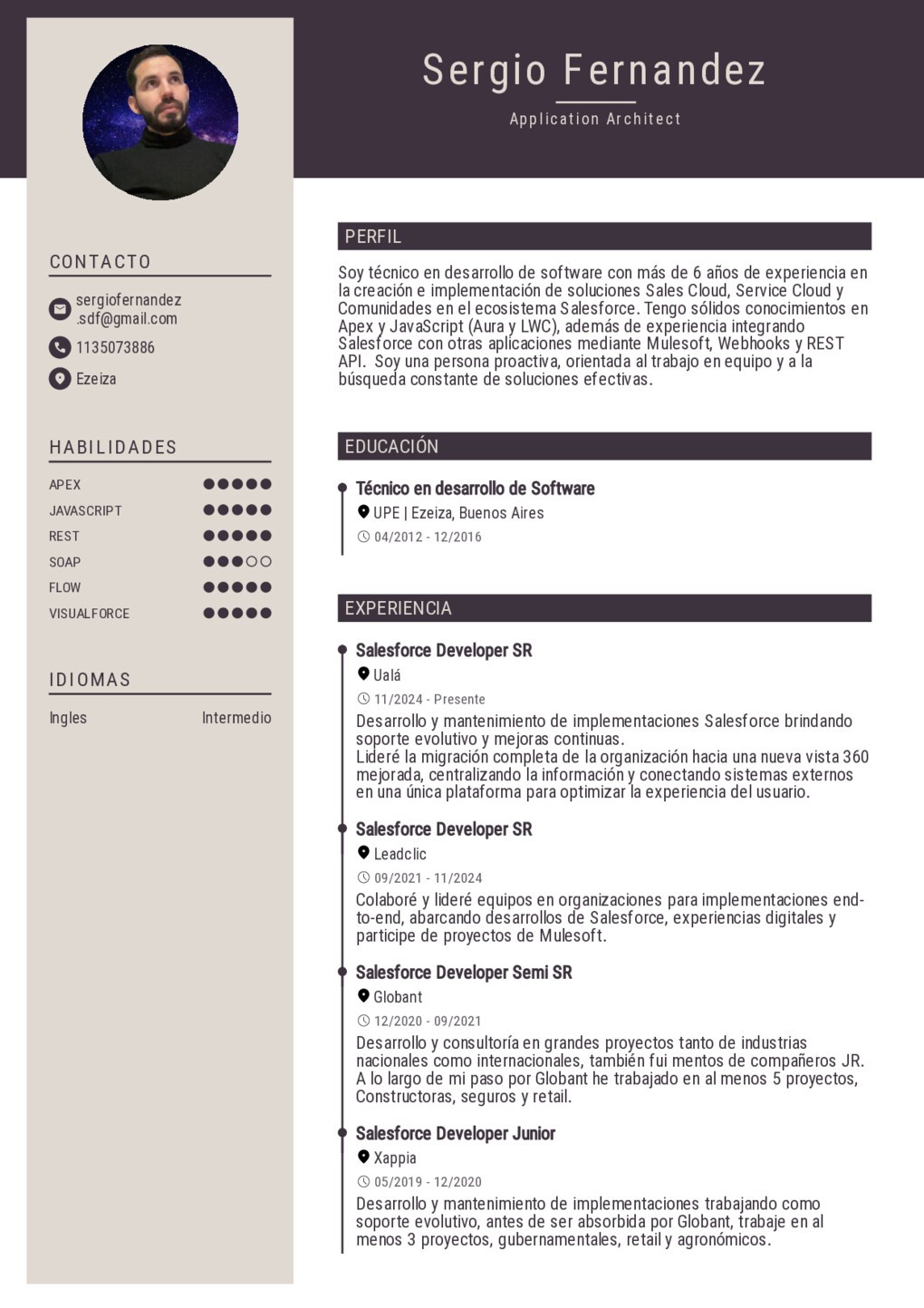 Crea un curriculum para Application Architect en Ezeiza